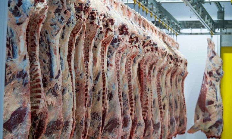 Maximizing Efficiency and Safety: Cold Storage Racking Solutions by Ross Clark Material Handling